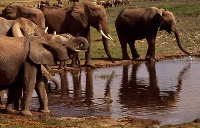Corridor des Éléphants