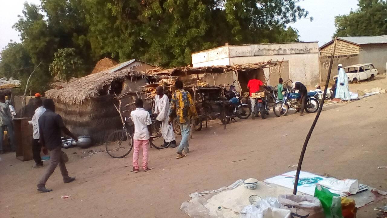 pette extreme nord 0